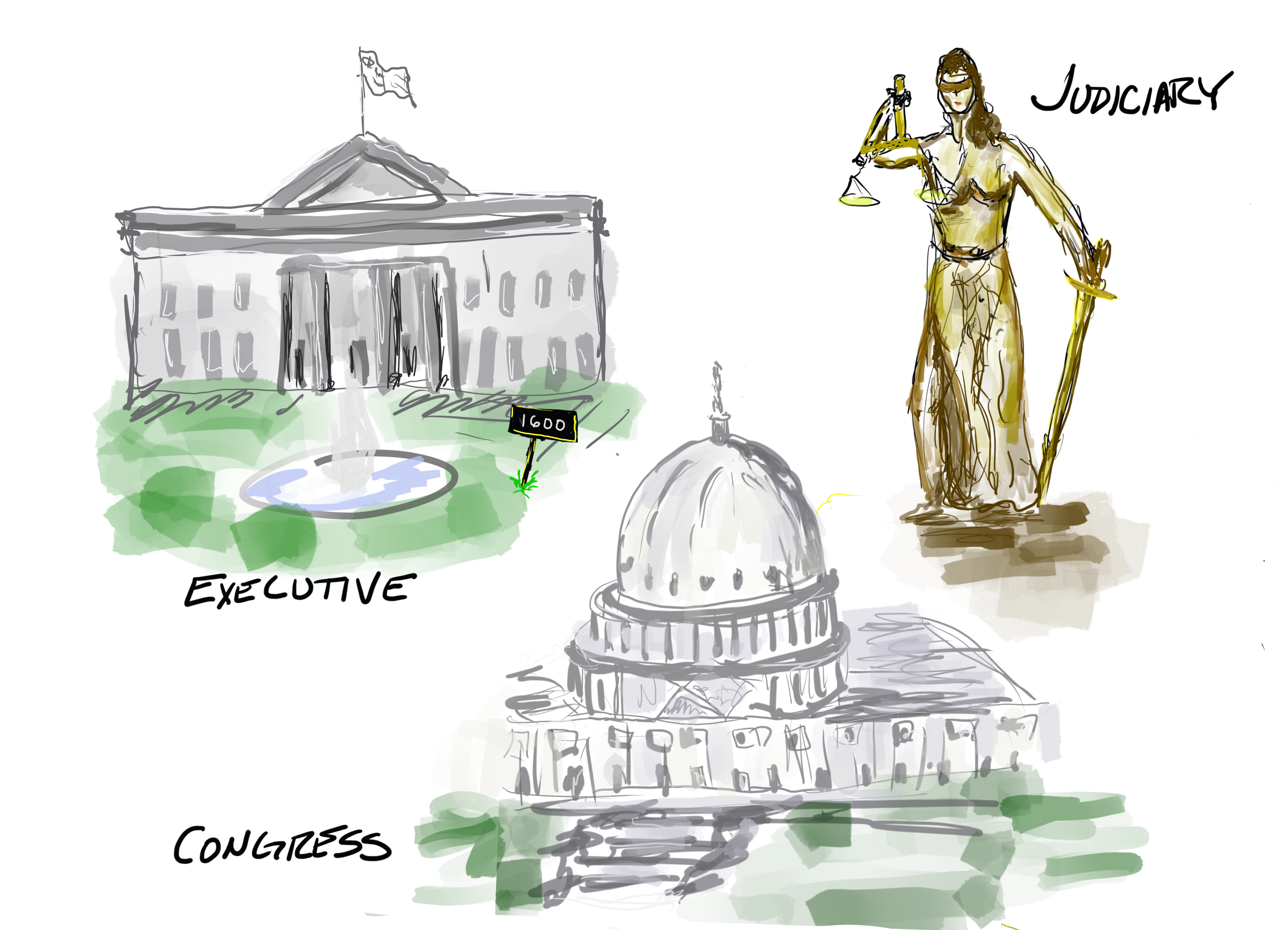 The United States government is organized in three basic branches, the Congress, The Judiciary, and the Executive.[]{label="fig:level1"}
